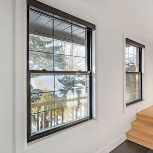 AMJ100T Single Hung Window